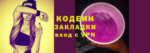 соль ск Арсеньев