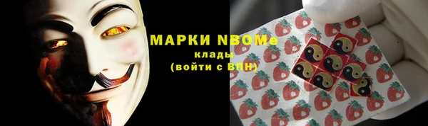 соль ск Арсеньев